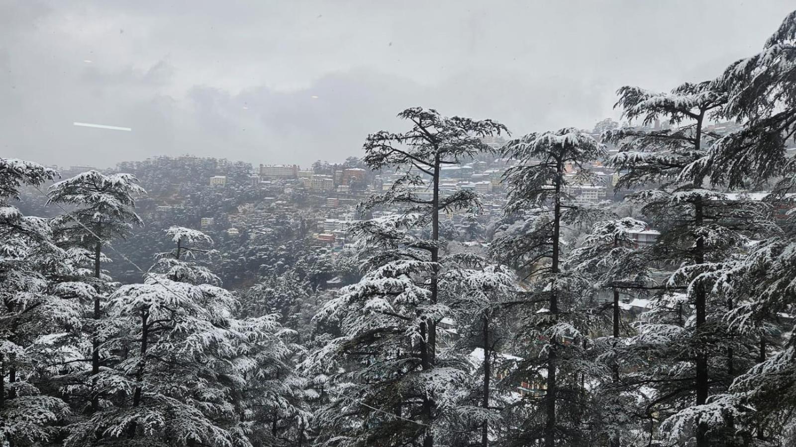 The Central Vista - Simla Royale Near Mall Road Free Pickup From Railway Station Simla المظهر الخارجي الصورة